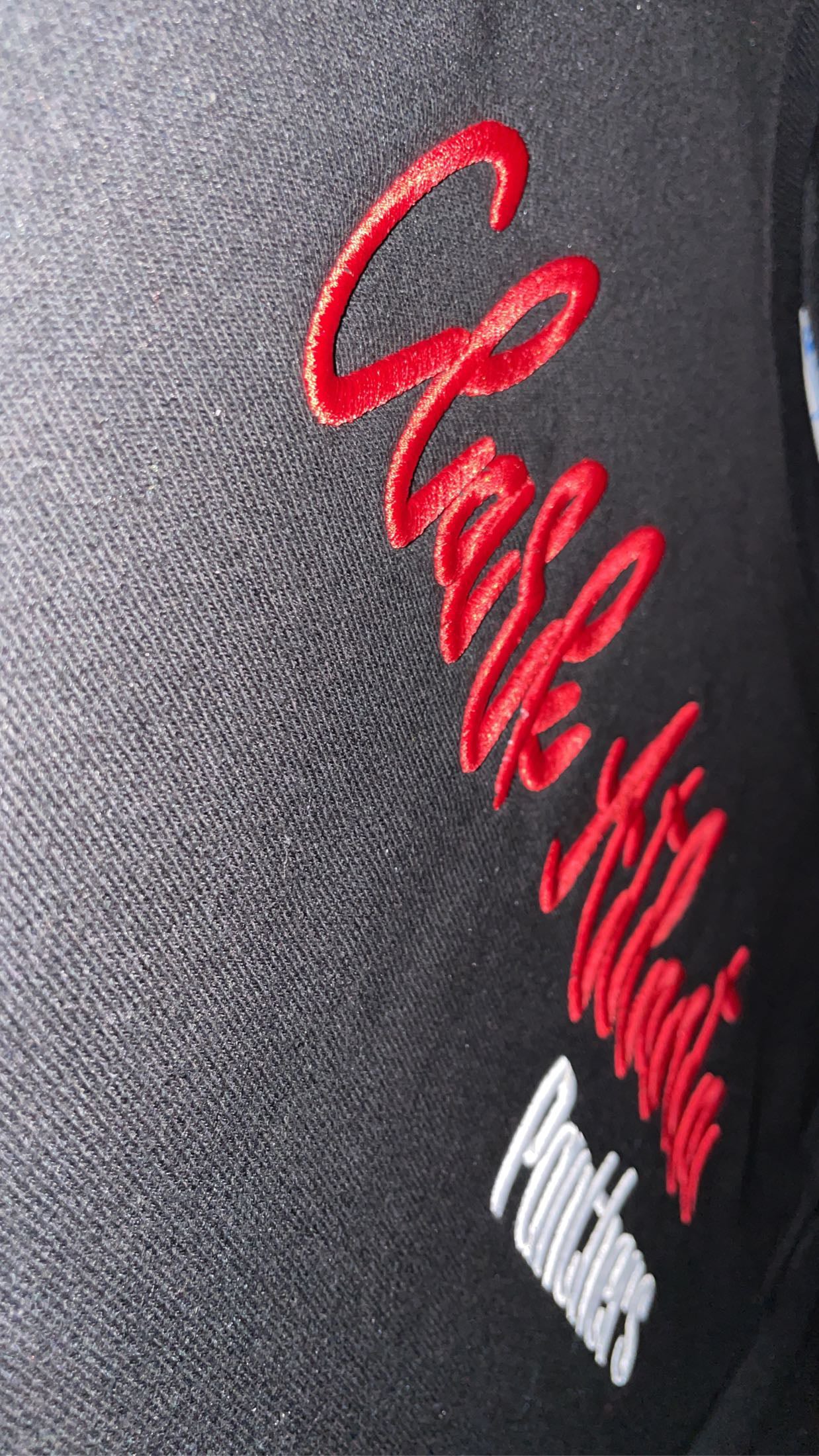 Crop Top (Puff Design)